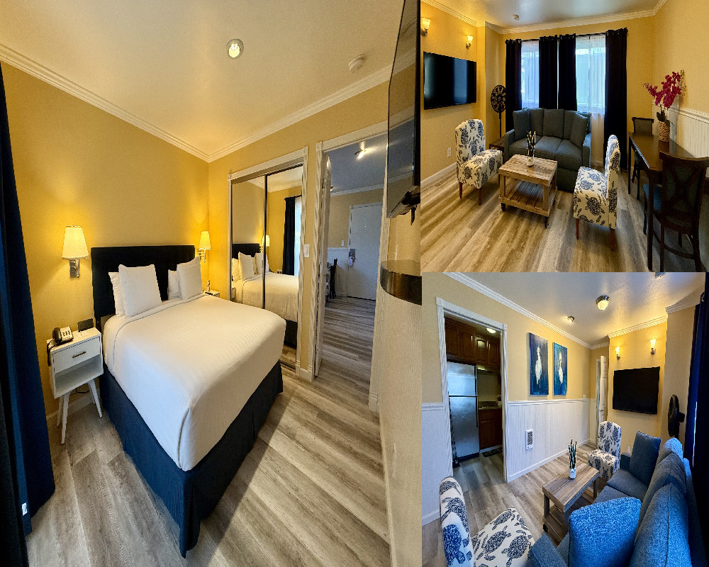 1 Bedroom Suite
